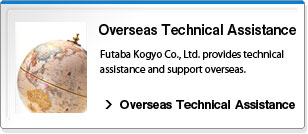 Overseas Technical Assistance