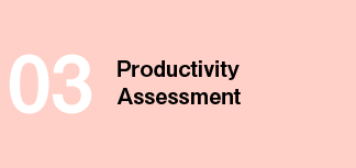 03 Productivity Assessment